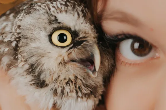 카지노 럭키 타이거 지원